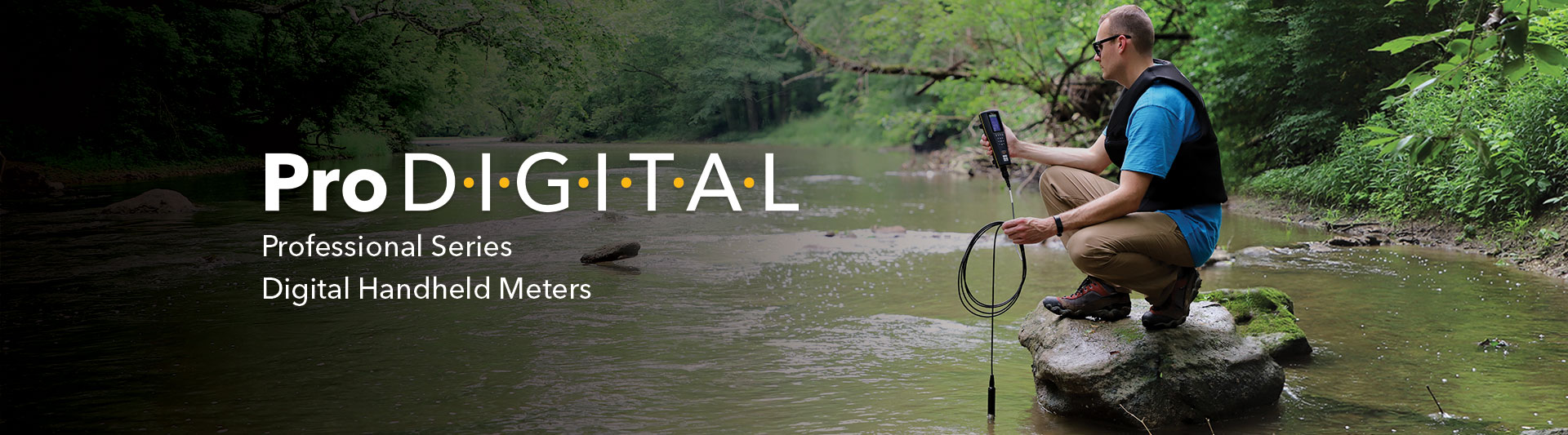 1589978841462119.jpg prodigital-lp-banner.jpg/////////