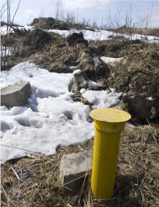 1625624033689444.png image.png////