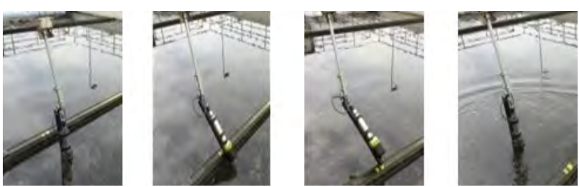 1646918120501652.png image.png///