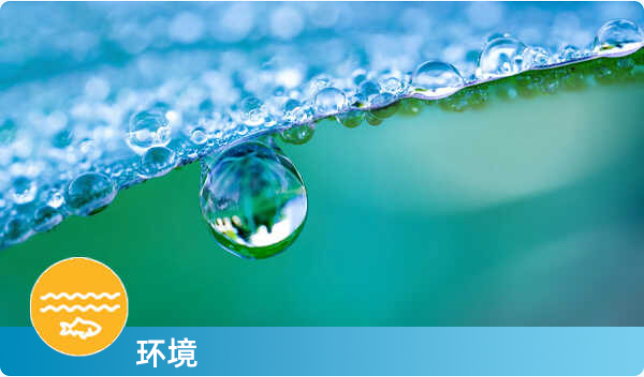 1704421519344504.png image.png/